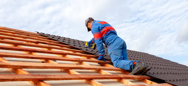 Best Asphalt Shingle Roofing  in Prestonsburg, KY